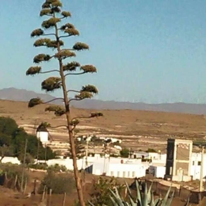 Casa Rural El Jazminero Fernan Perez 外观 照片